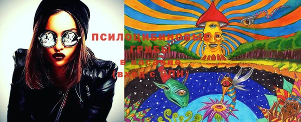 МДПВ Покачи