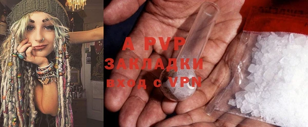 ГАЛЛЮЦИНОГЕННЫЕ ГРИБЫ Покров